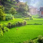 Kaili Kaijue miao village