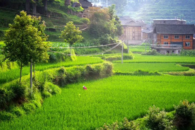 Kaili Kaijue miao village