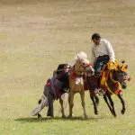 Nagchu horse race
