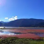 Beautiful Napahai Shangri-la