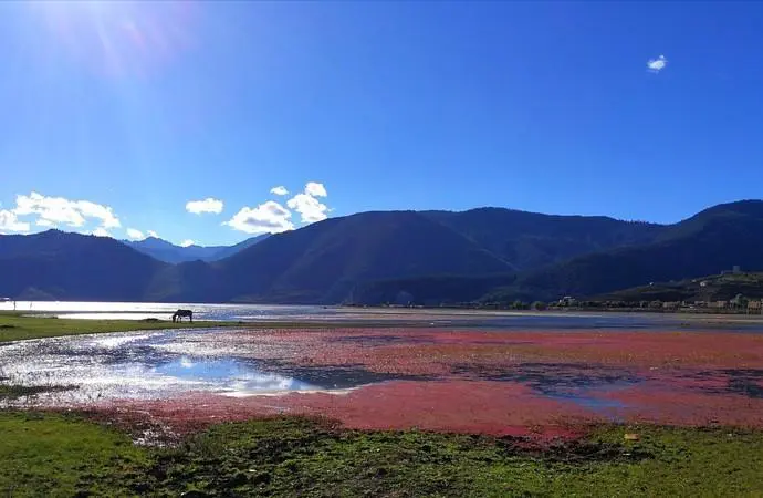 Beautiful Napahai Shangri-la