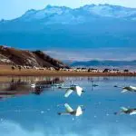 Swan Lake at Bayanbulak Grassland
