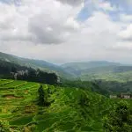 Rice terraces at Tang’an