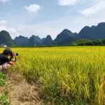 Picturesque Yangshuo countryside scenery