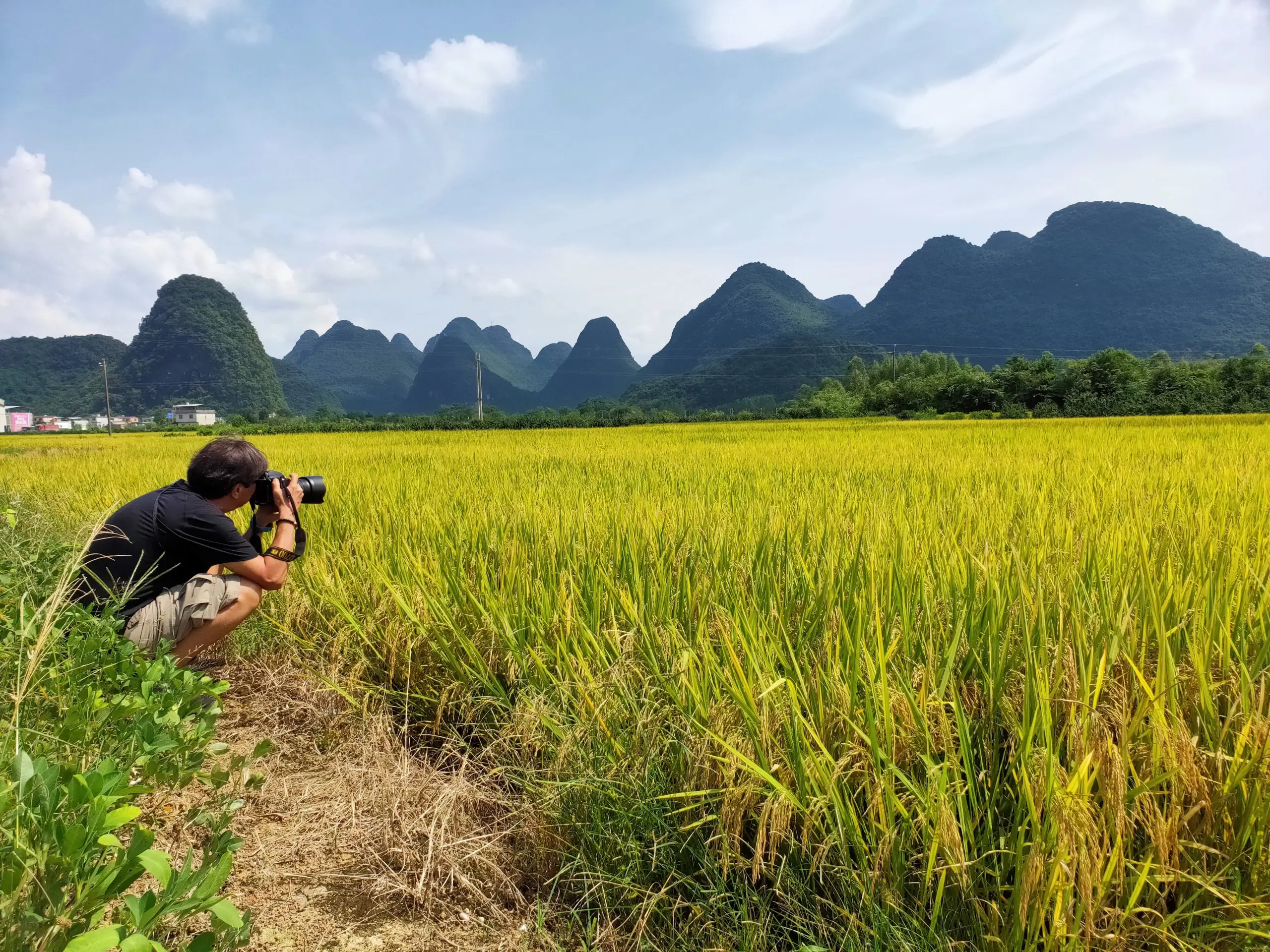 Picturesque Yangshuo countryside scenery