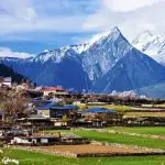 Drive back from Bayi to Nyingchi