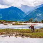 Scenic Drive along the Niyang River