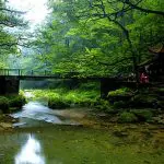 Golden Whip Creek, Zhangjiajie National Forest Park