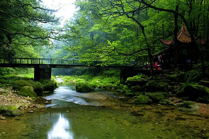 Golden Whip Creek, Zhangjiajie National Forest Park