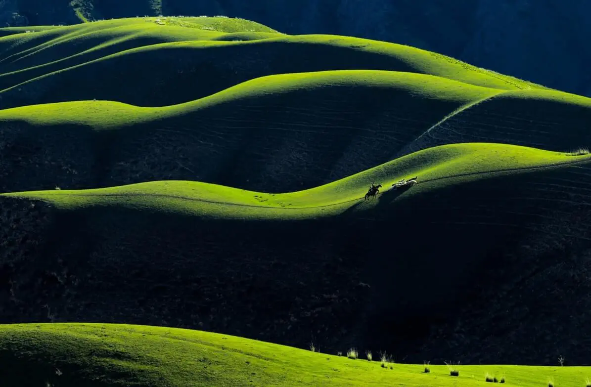 Kalajun Grassland in summer month