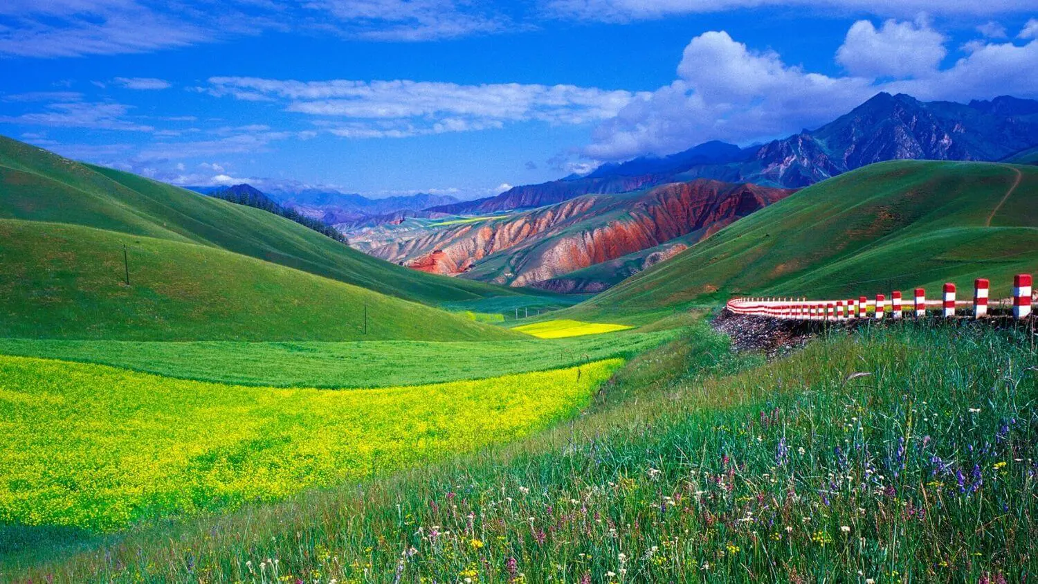 Kangle grassland scenery