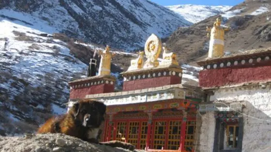 Tidrum nunnery and the medicinal hot-springs