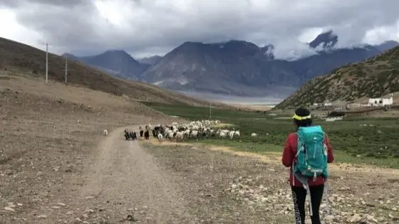 Tsurphu to Yangpachen Trekking
