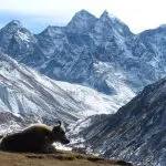 Tibetan mountain view