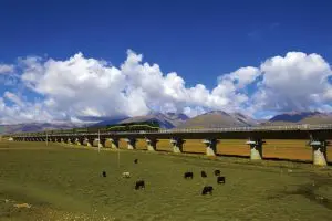 Scenery along Qinghai Tibet Railway