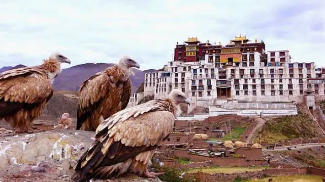 Sok Tsanden monastery
