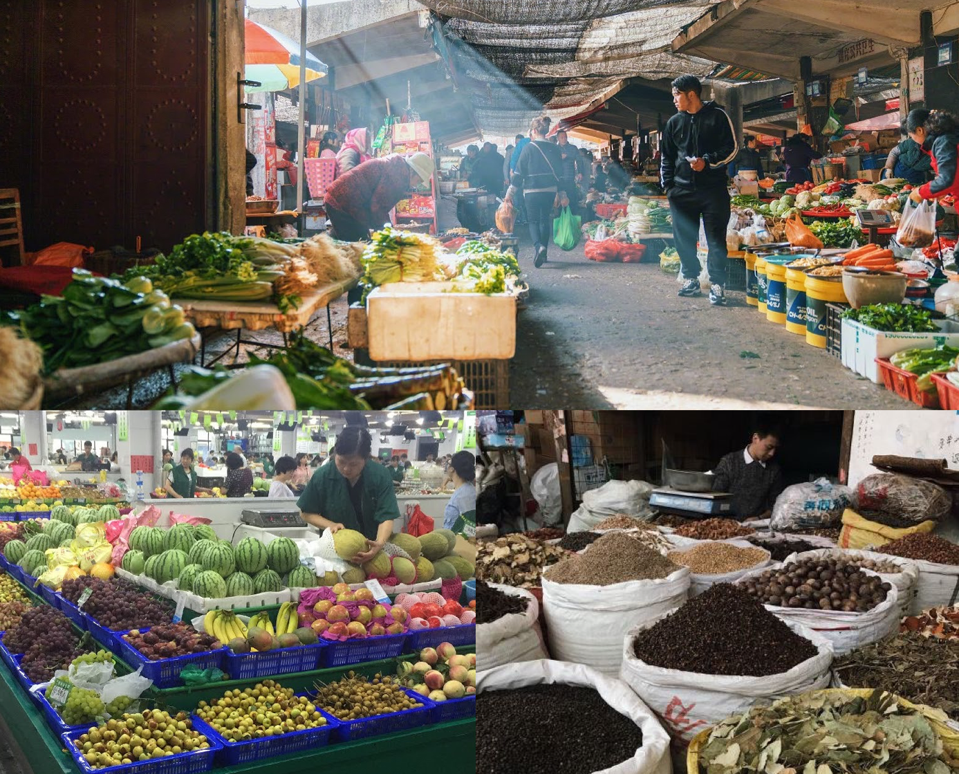 explore-china-local-grocery-market
