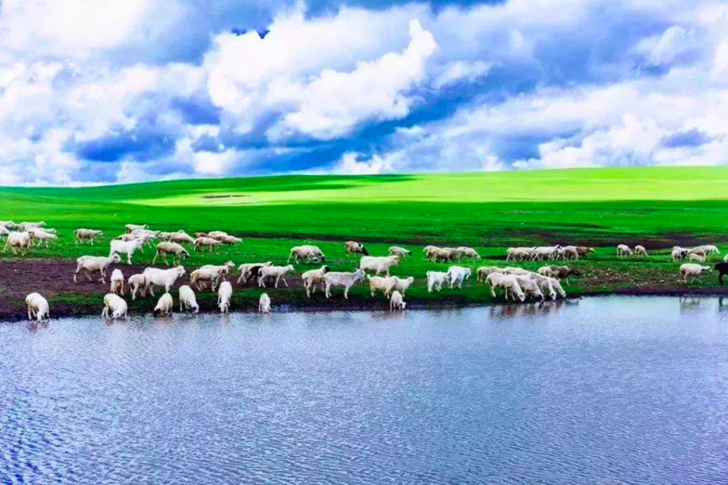 Summer grassland at Inner Mongolia - best place to visit in China in summer months