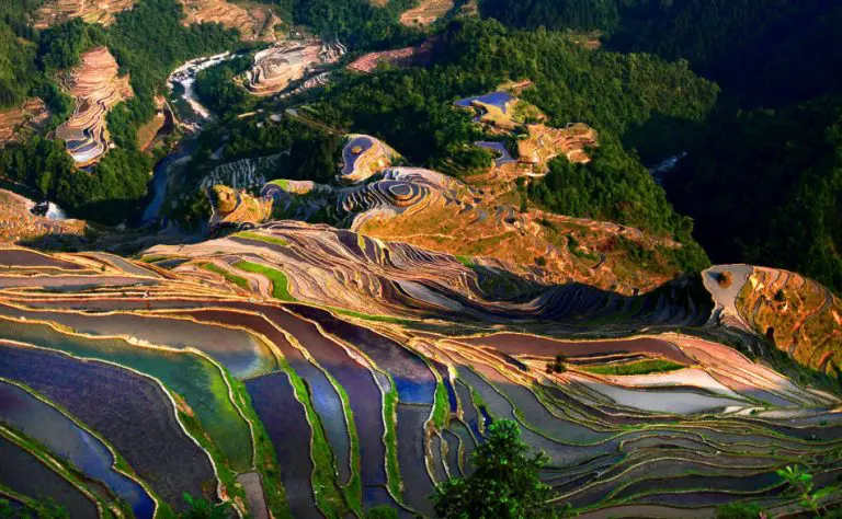 Bird view of Guizhou Jiabang Rice Terrace