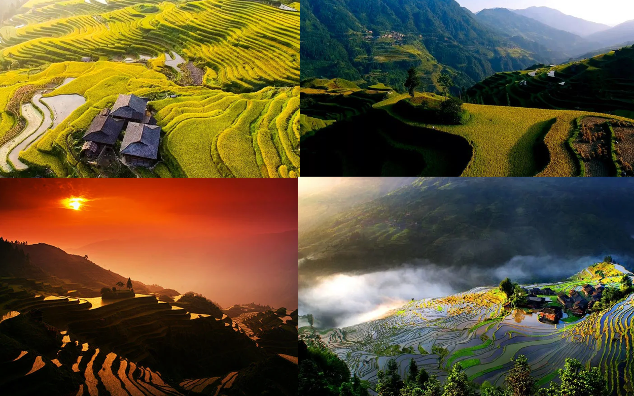 Guizhou Jiabang Rice Terrace