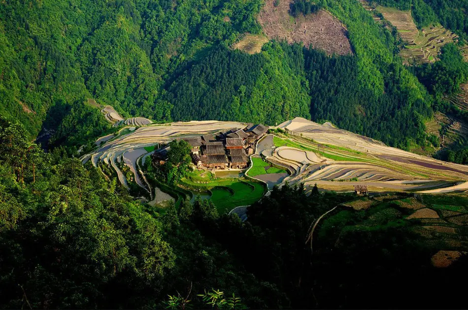 Jiabang Rice Terrace in summer