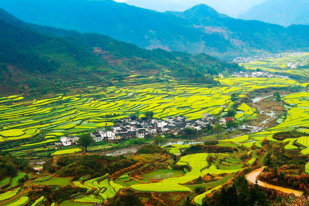 Jiangling Rice Terrace in Jiangxi