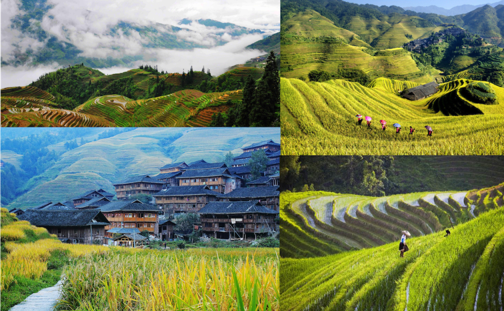 Longji Rice Terraces in Guilin, one of China’s top cultural and scenic attractions