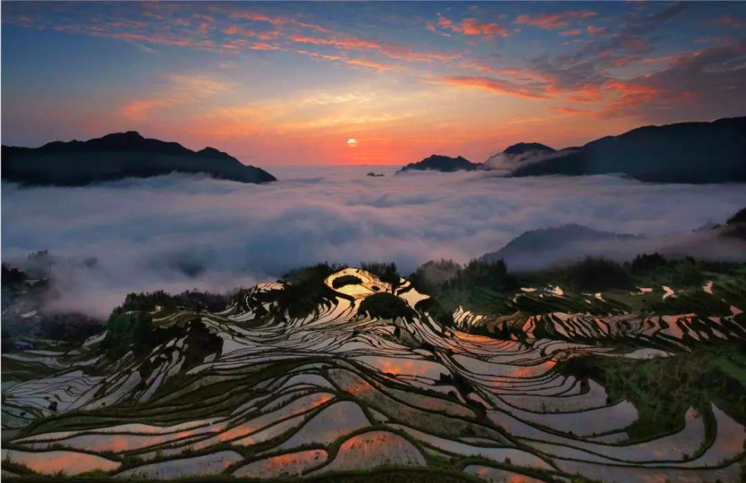 Sunset at Yunhe Rice Terrace