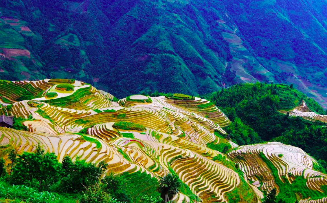 Yunhe Rice Terrace spring