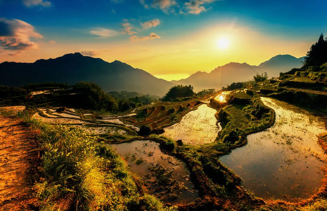 Yunhe Rice Terrace