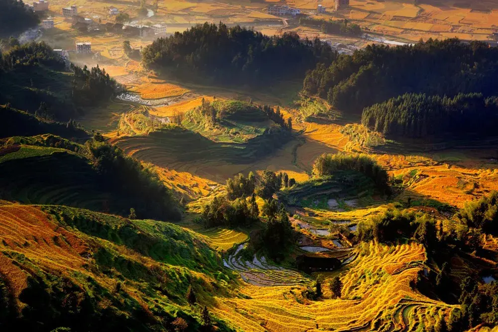 Ziquejie Rice Terrace bird view