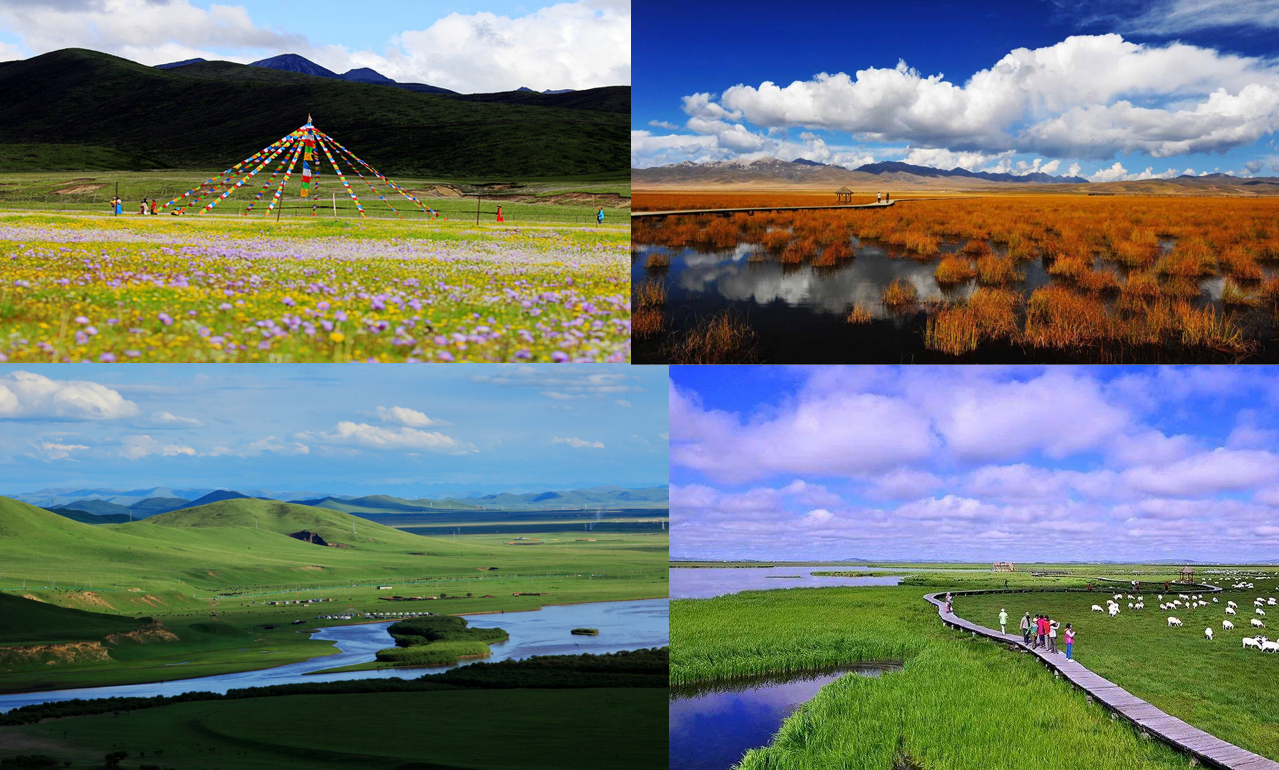Zoige Grassland and Flower Lake