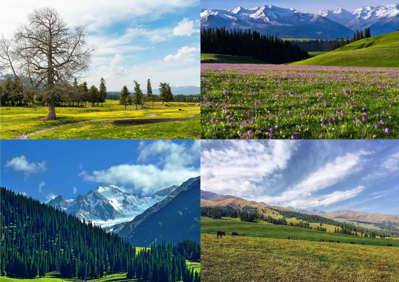 Narat National Forest Park