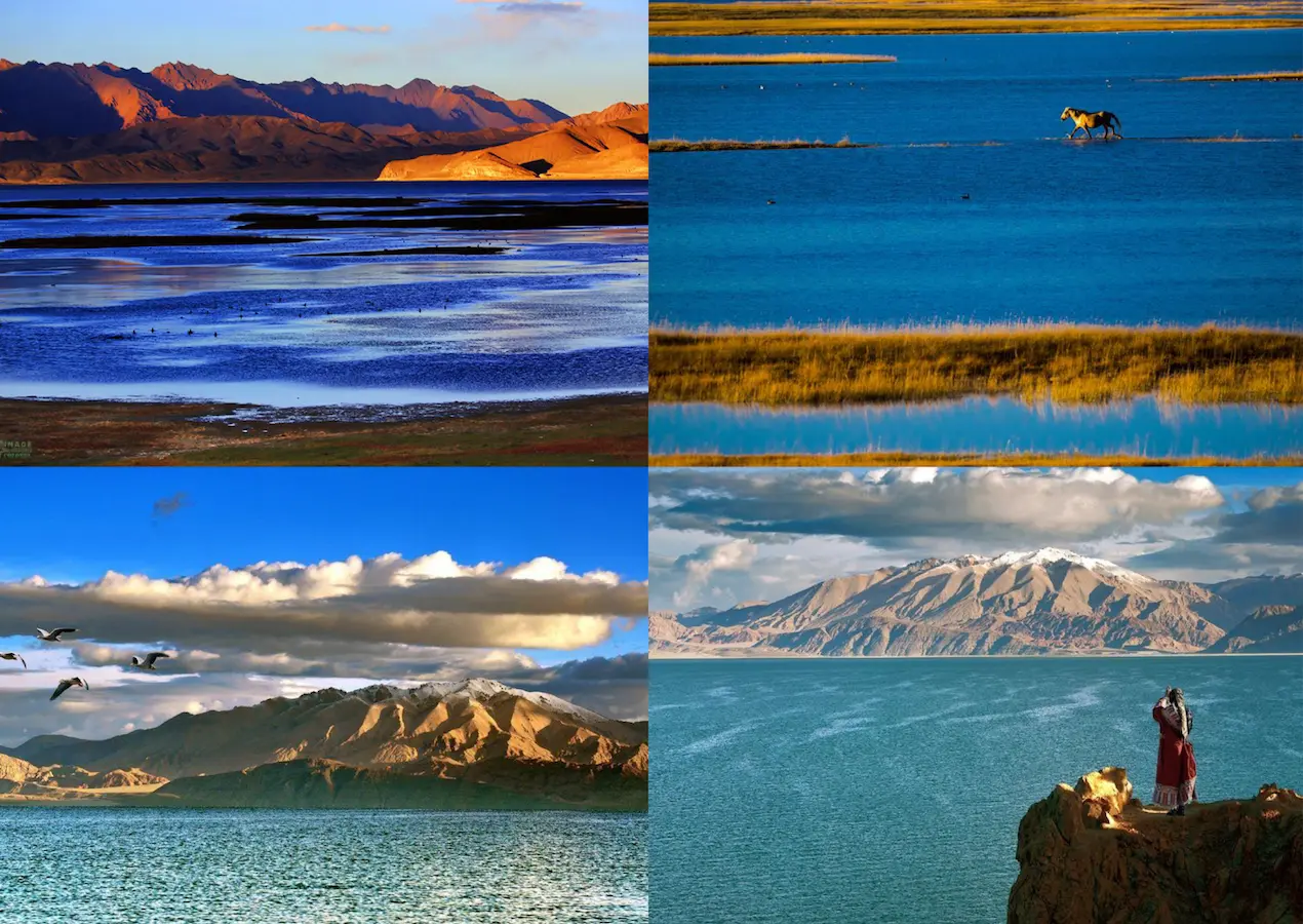 Pangong Lake National Park