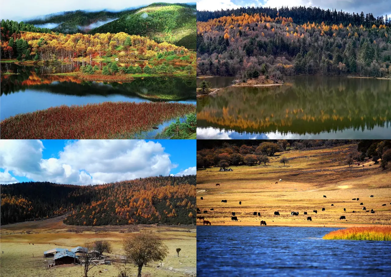 Pudacuo National Park