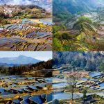 Yuanyang Rice Terraces in winter