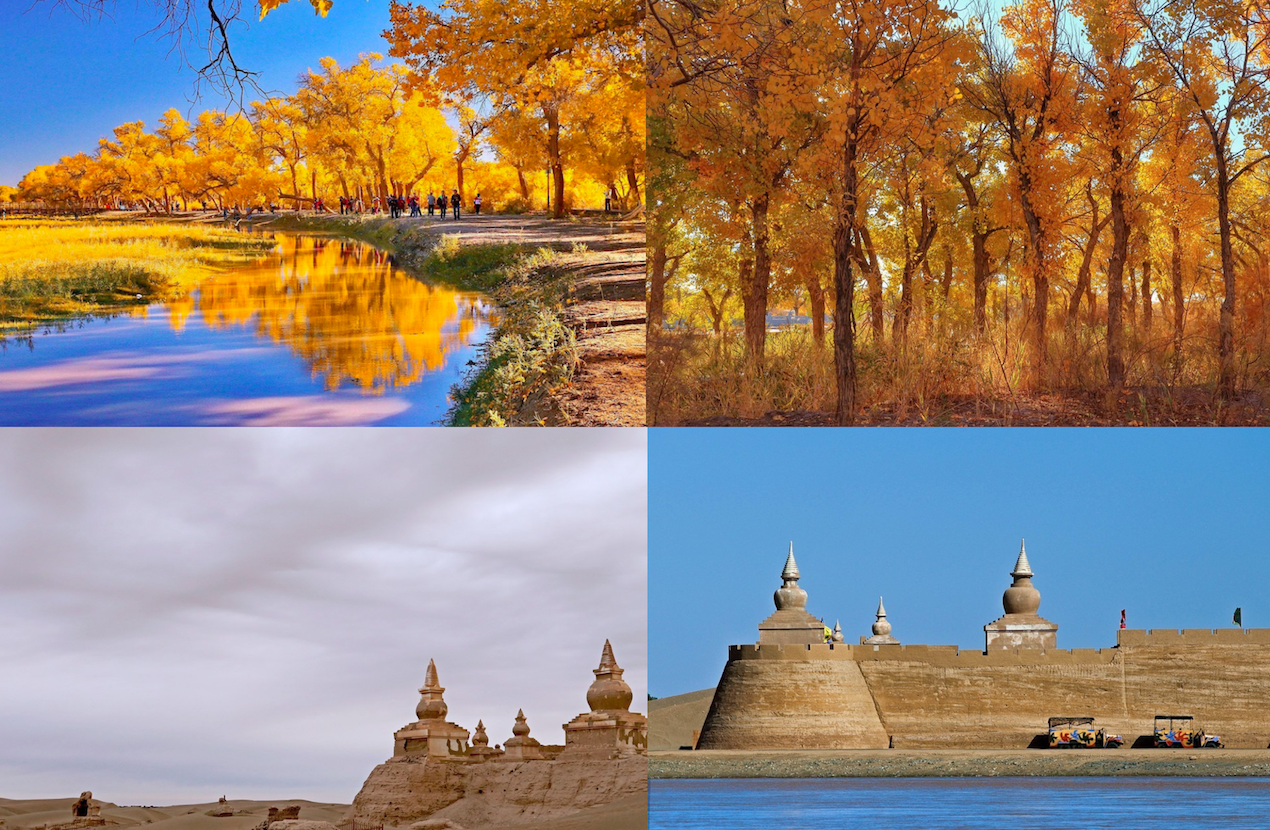 Ejina populus euphratica forest and Black city ruins