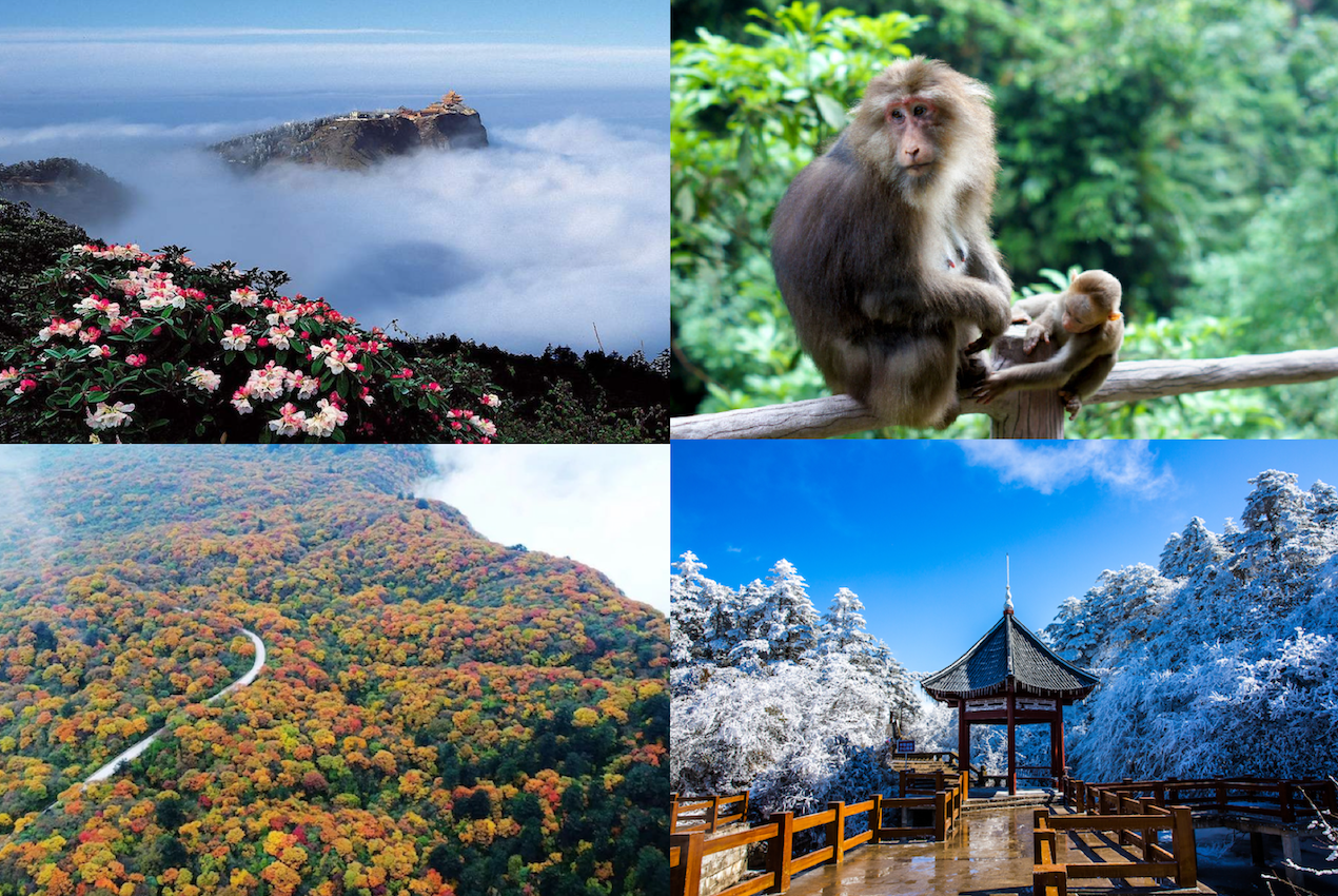 Seasonal scenery at Mount Emei