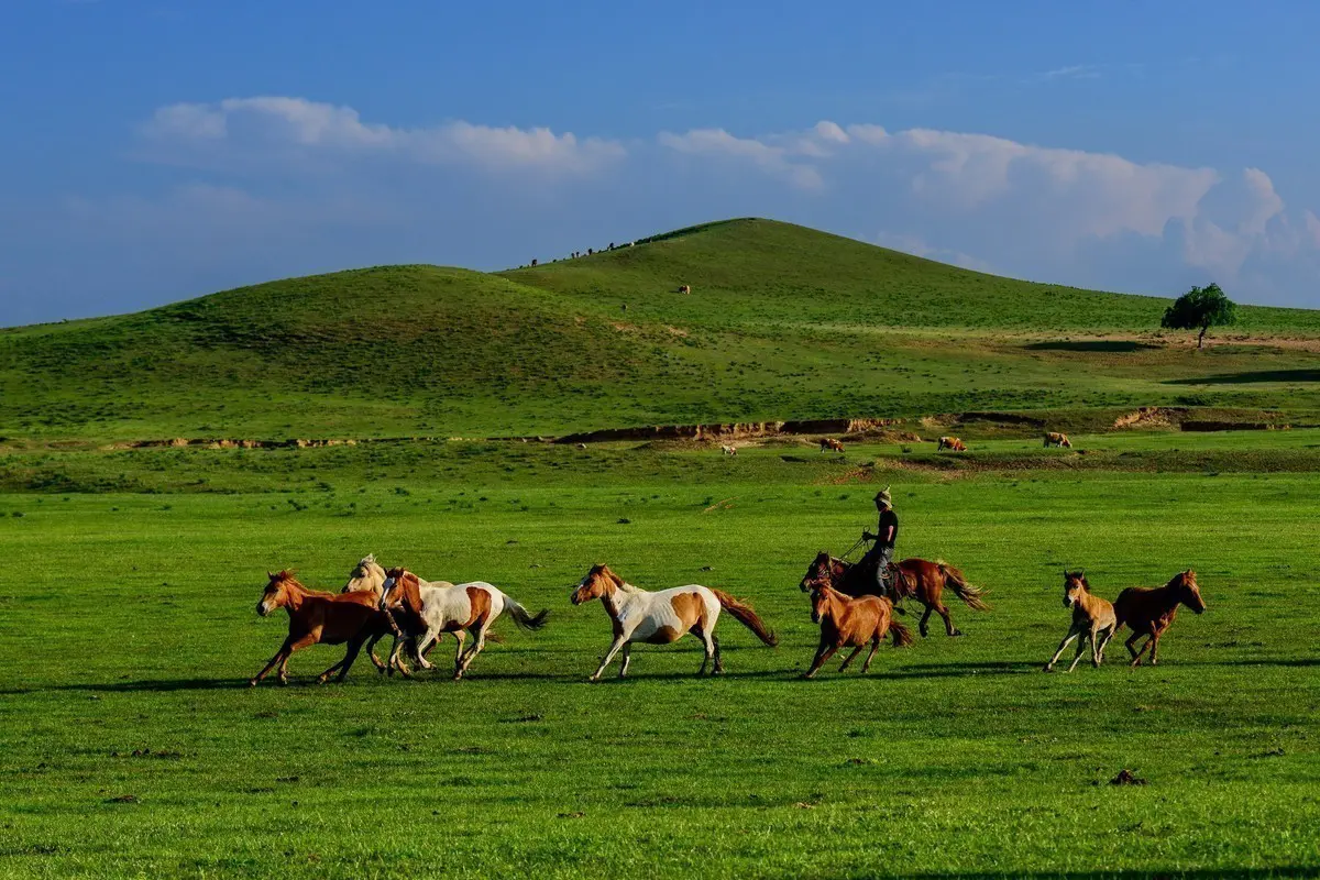 Xilingol Grassland