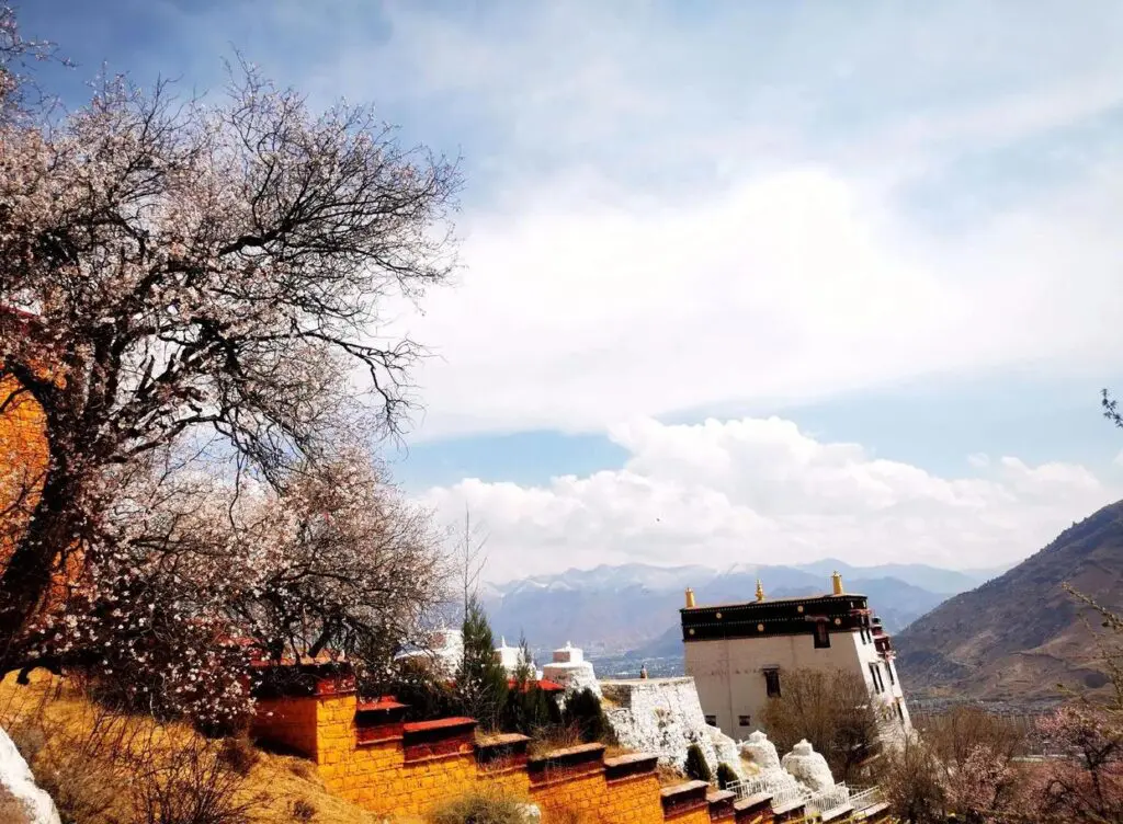 Hike to Pabongka Hermitage with Lhasa Valley views – offbeat things to do in Lhasa