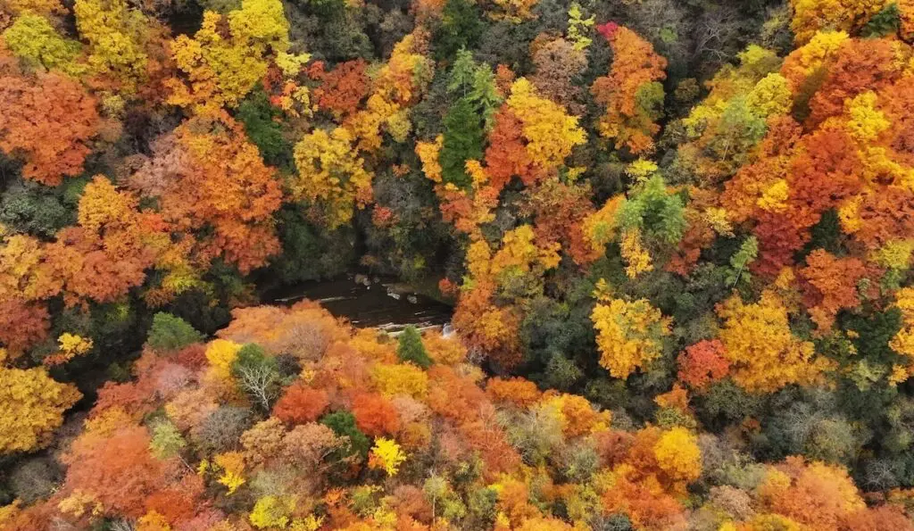 Guangwu mountain autumn view in Bazhong Sichuan