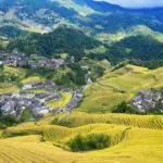 longji-rice-terraces-autumn-harvest