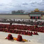 Gomang monastery Monlam festival prayer ceremony