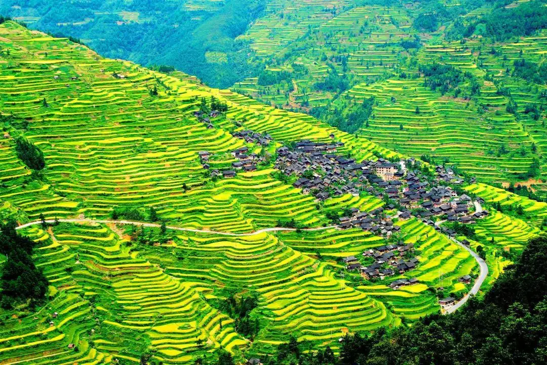Kaitun rice terrace