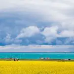 Qinghai lake view in summer