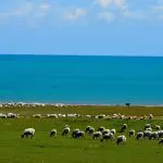 Lakeside of Qinghai lake