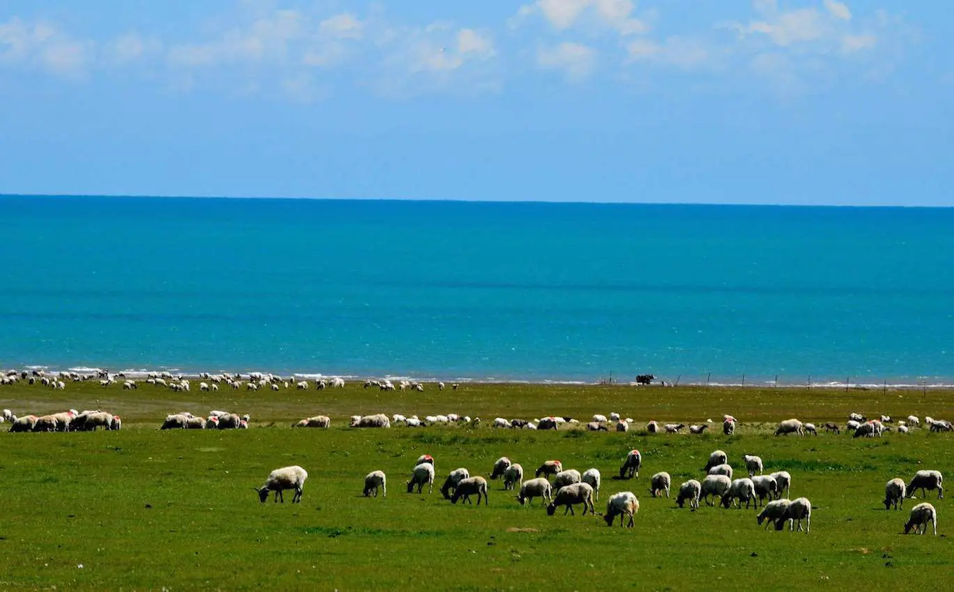 Lakeside of Qinghai lake