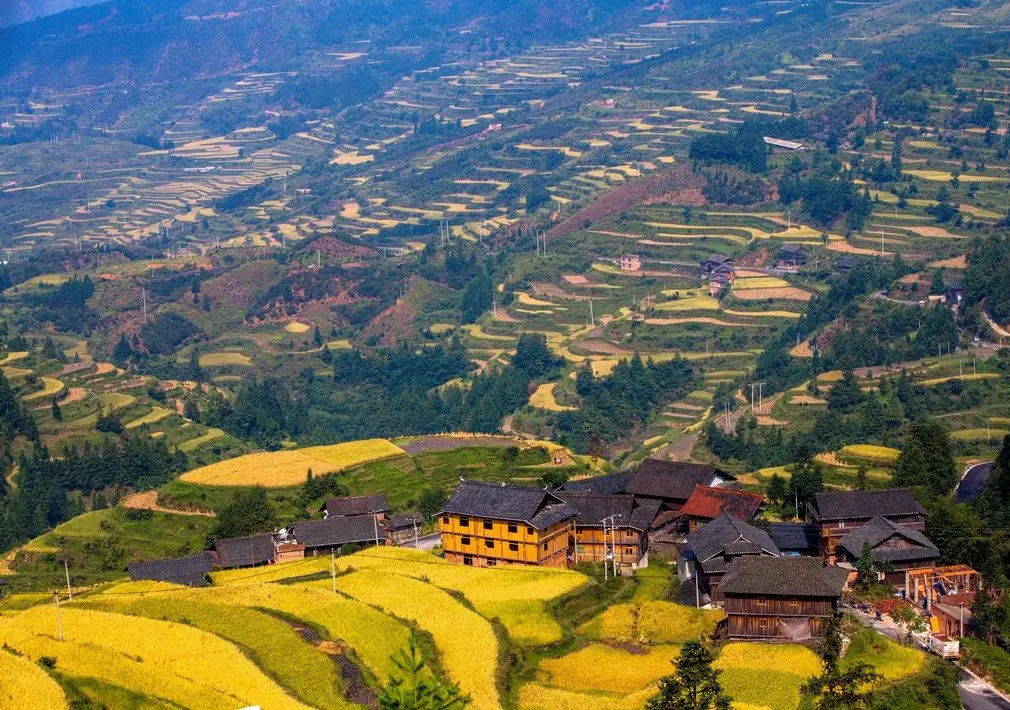 Rice terrace at Tang’an Dong village