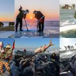 Winter fishing activities in Northeast China