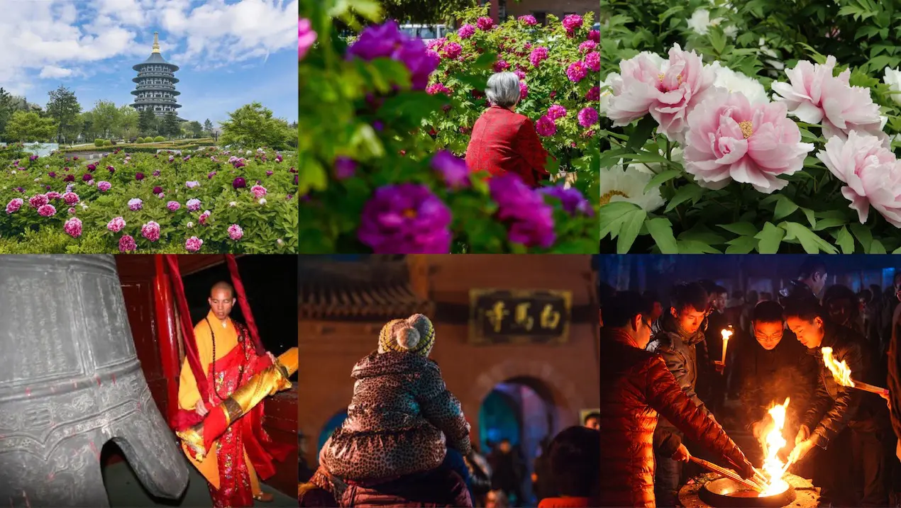 Luoyang local experiences